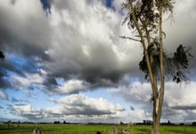 罗马尼亚队遗憾出局,无缘欧锦赛的绝杀