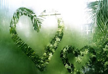 南非运动员再度登上领奖台，取得佳绩