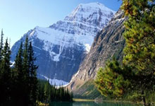 尤文图斯展示强大实力，击败对手