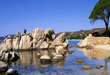 意大利胜特立尼达，豪取主场三分稳住小组领跑