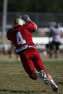 乐鱼体育在线下载-球员心理状态是否影响战术执行精度,论运动员心理因素对排球比赛的影响 第2张